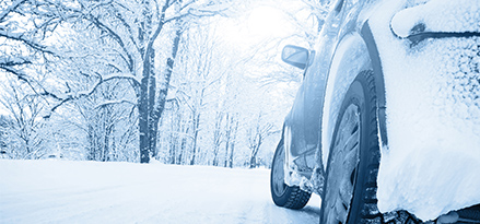 car driving in snowy forest